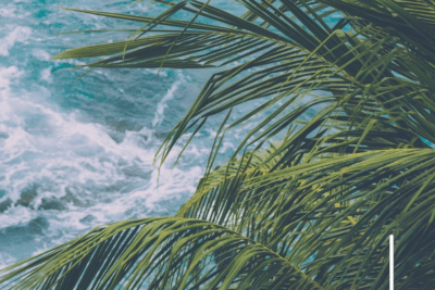 Naturaleza mágica en Playa Encuentro: paraíso tropical en el Caribe