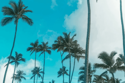 Paraíso caribeño en Playa Bávaro: arena blanca y aguas turquesas