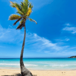 Playa Macao: majestuosidad y tranquilidad en Dominicana