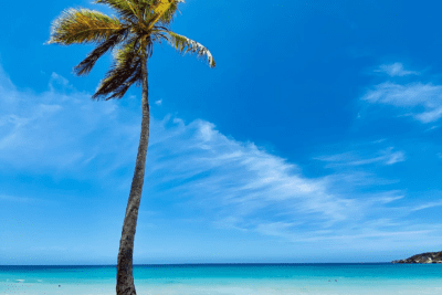 Playa Macao: majestuosidad y tranquilidad en Dominicana
