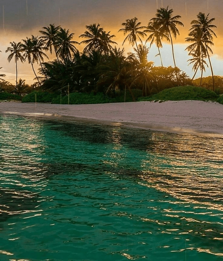 Playa Las Terrenas
