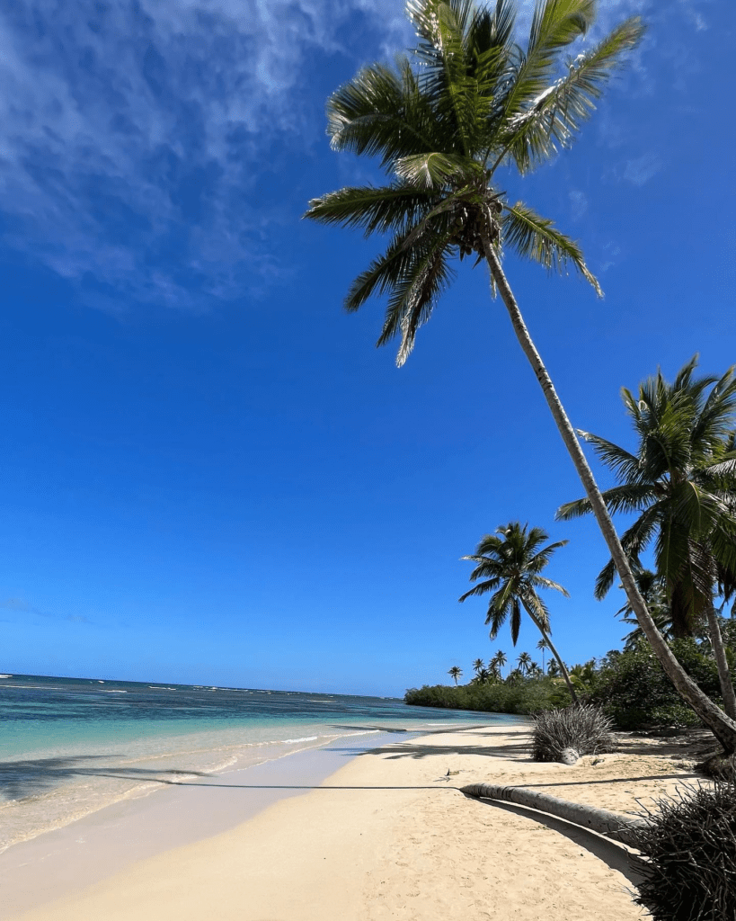 Recorriendo las playas cercanas a Las Terrenas