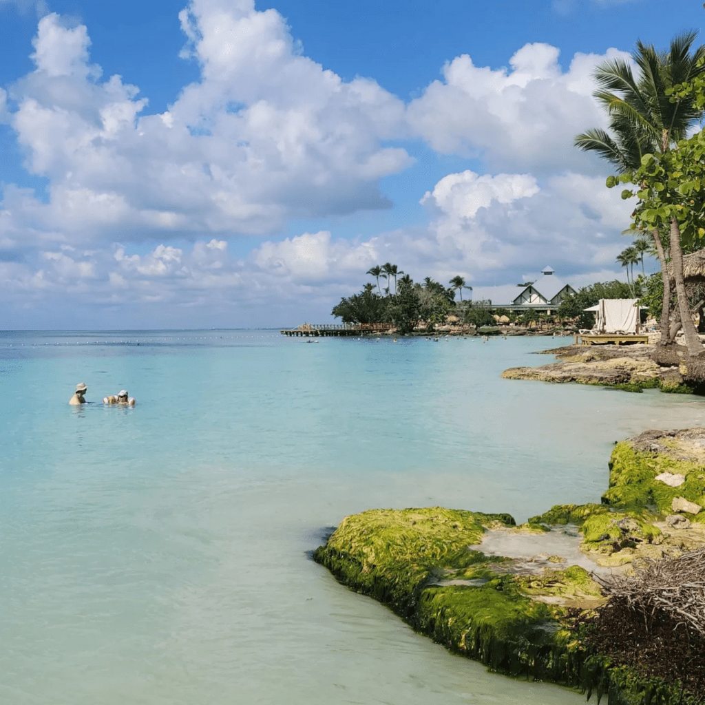 ¿Qué lugares turísticos visitar en Playa Bayahibe?