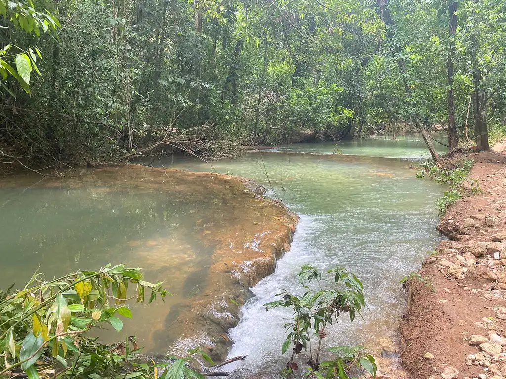 Tramo del río El Limón con agua verde entre la vegetación del bosque