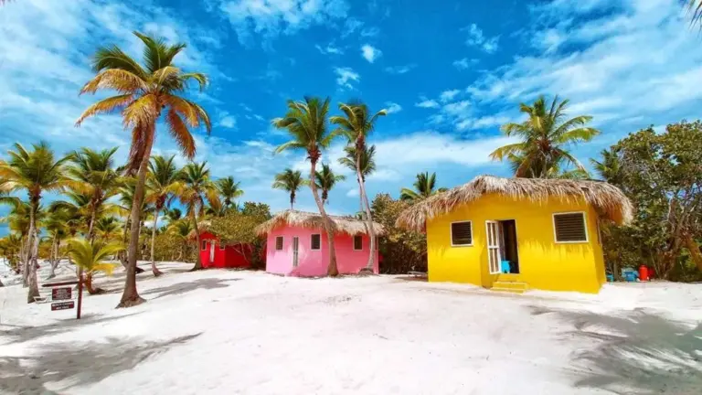 Las mejores excursiones de un día desde Punta Cana
