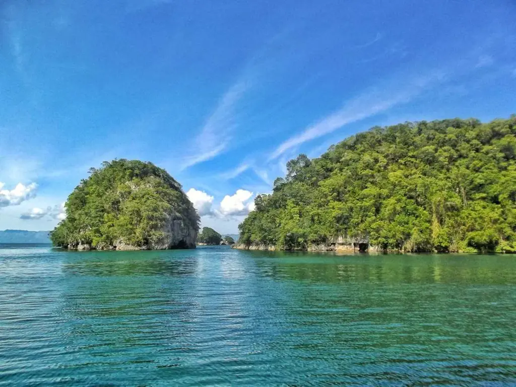 Islotes cubiertos de selva en la bahía del Parque Nacional Los Haitises