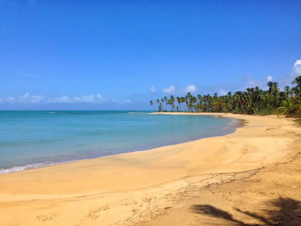 Playa Esmeralda en Miches con arena dorada, mar tranquilo y palmeras al fondo