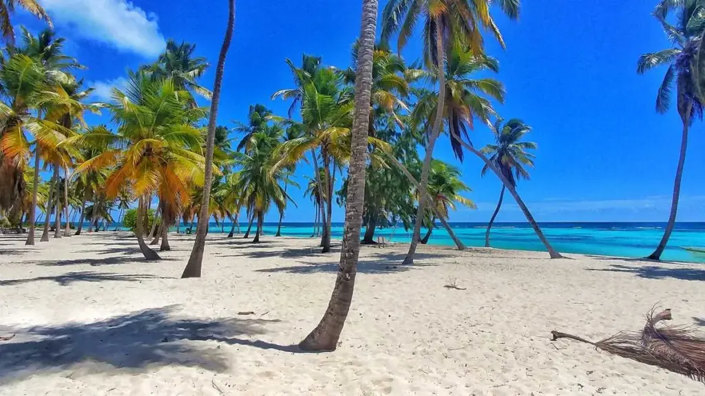 10 experiencias imperdibles en República Dominicana