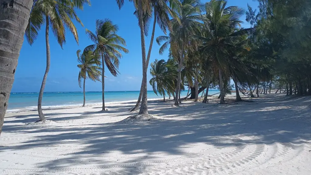 Playa de arena blanca con palmeras y mar turquesa en Cap Cana