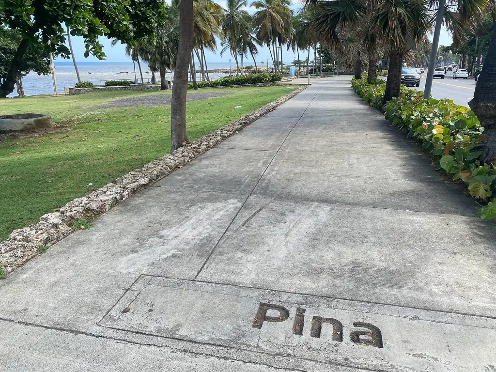 Acera arbolada con palmeras en el malecón de Santo Domingo junto al mar