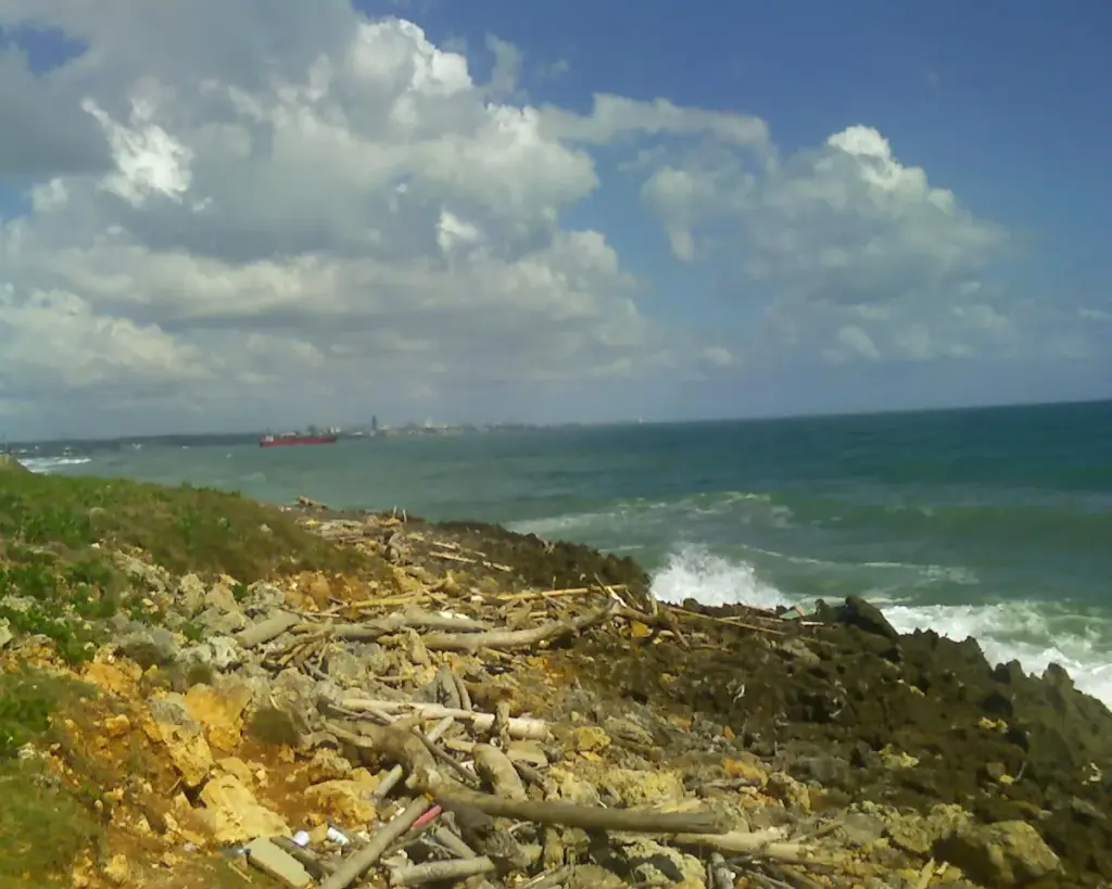 Litoral de Haina con rocas y vegetación, y la zona portuaria al fondo