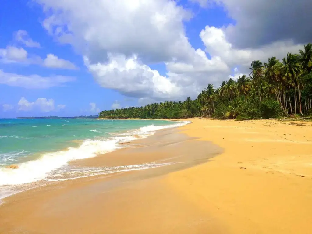 Playa Cosón en Samaná con arena dorada, olas suaves y palmeras a lo largo de la costa