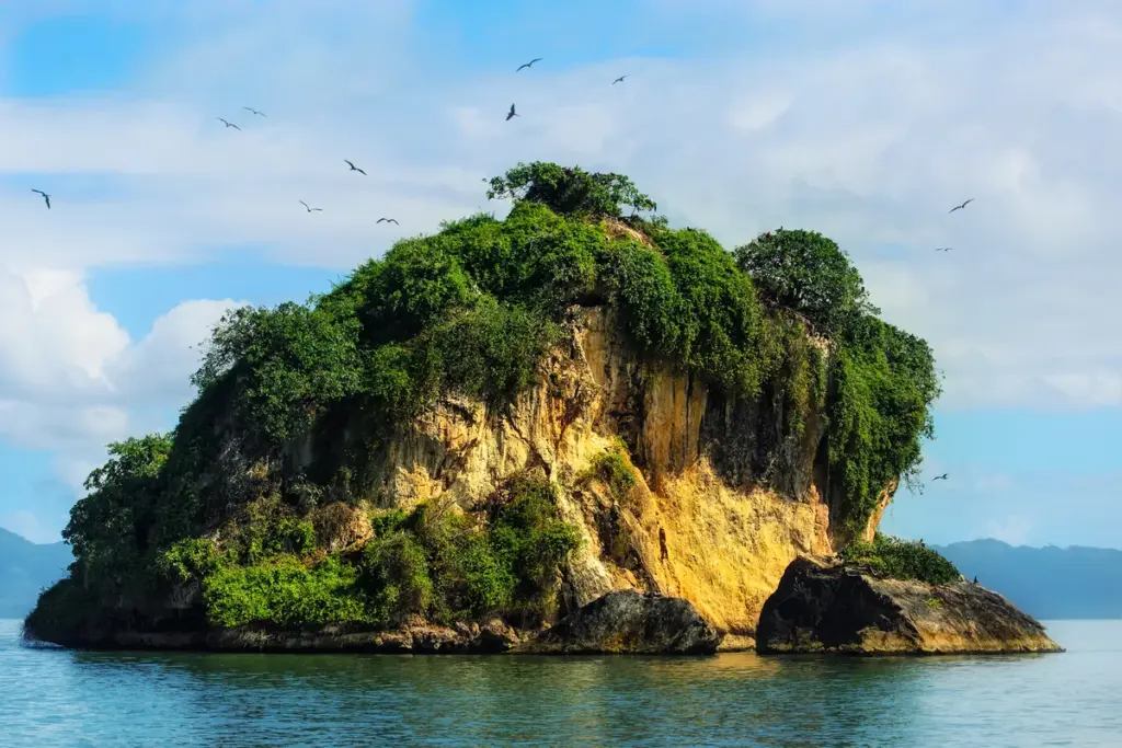 Islote con aves anidando en la bahía de San Lorenzo, Los Haitises