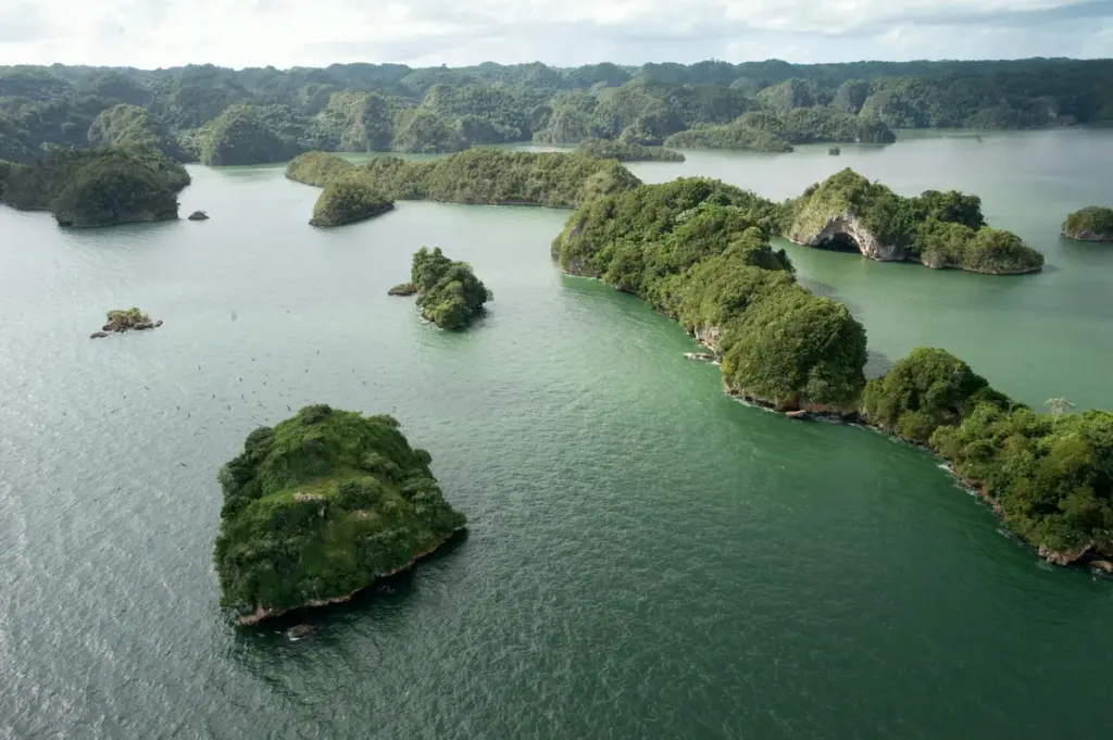 Vista aérea de los islotes cubiertos de vegetación en la bahía de San Lorenzo, Parque Nacional Los Haitises