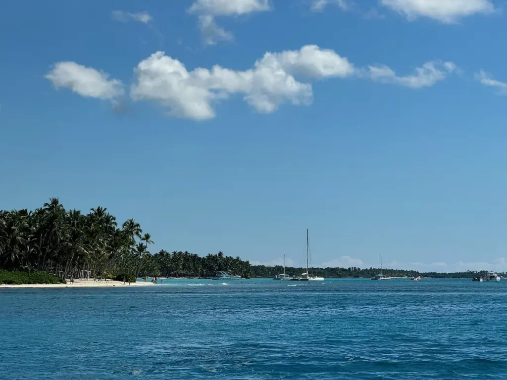 Palmeras y arena blanca en una playa de Isla Saona frente al mar Caribe