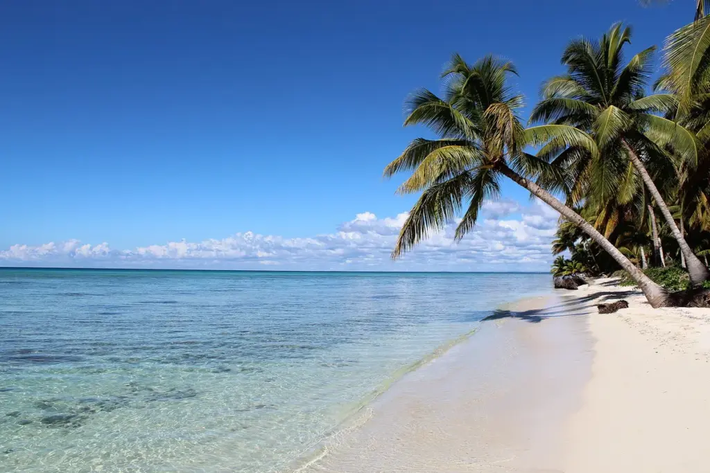 Playa tranquila de Isla Saona con palmeras y agua turquesa en un día soleado