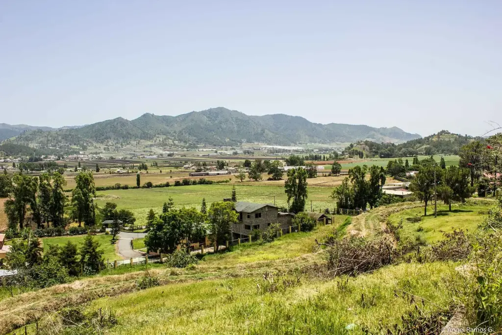 Valle de Constanza con campos de cultivo, casas y montañas verdes al fondo