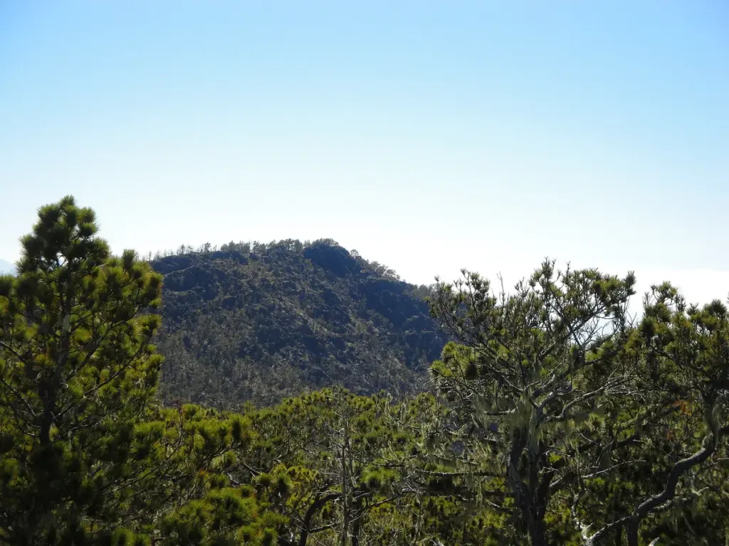 Vista del Pico Duarte desde La Pelona con laderas cubiertas de pinos